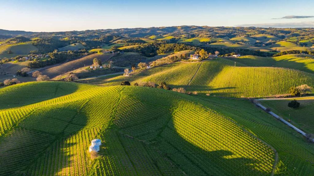 Family Law Attorney and Family Law Lawyer in California 1 | Law Office of Eric Andrew Mercer